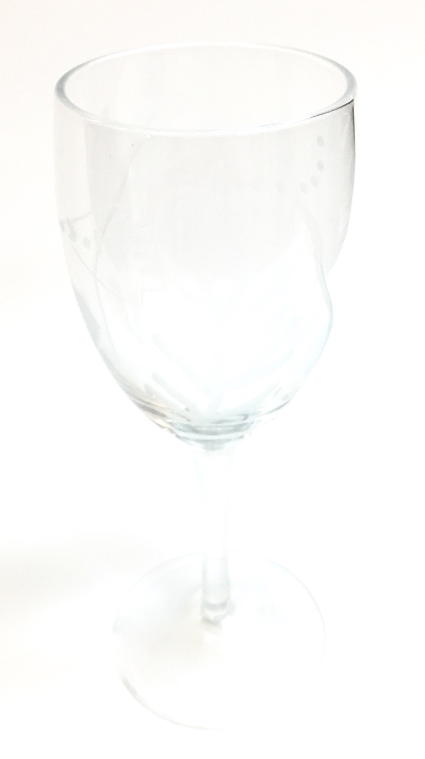 Wine Glass Shell Fish