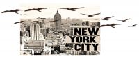 3D Peel & Stick New York & Birds