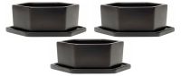 Succulent Planter Set/3 - Black