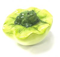 Floating Frog Lily Pad