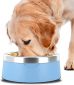 Stainless Steel  Dog Bowl - Cotton Blue
